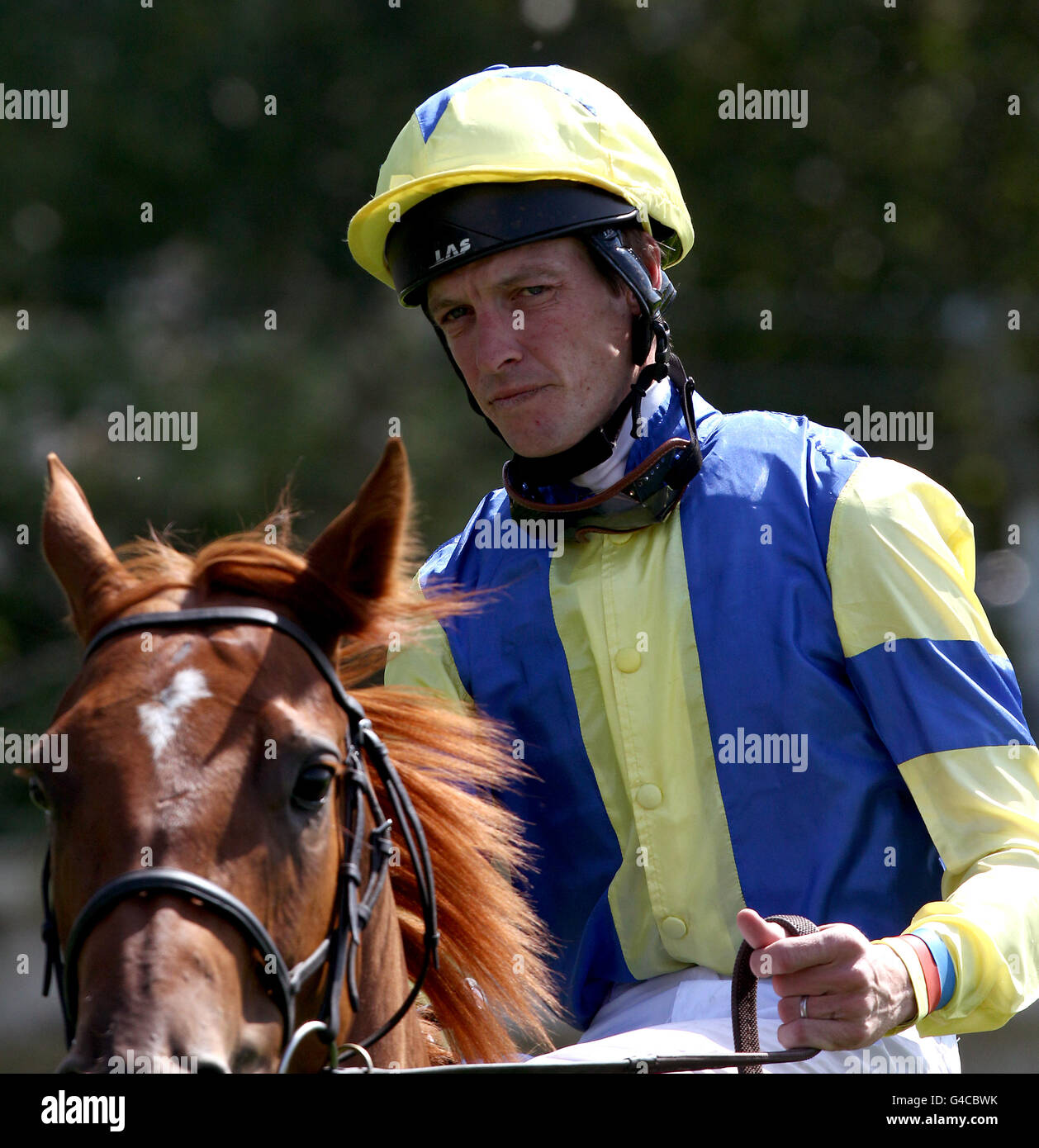 Corse ippiche - totepool Irish Day - Sandown Park. Richard Hughes, fantino Foto Stock