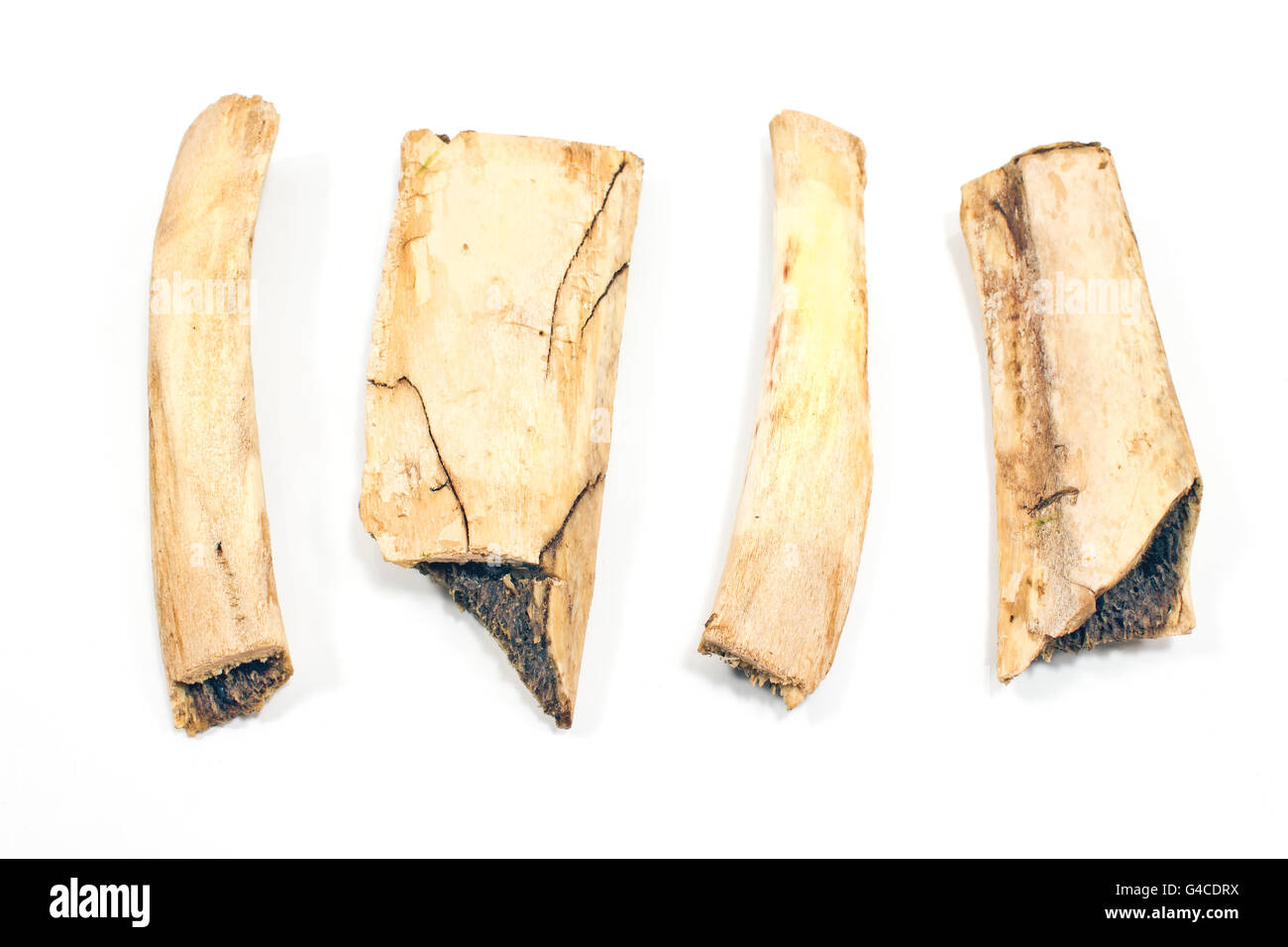 Quattro pezzi di carni bovine le costole isolato su bianco Foto Stock