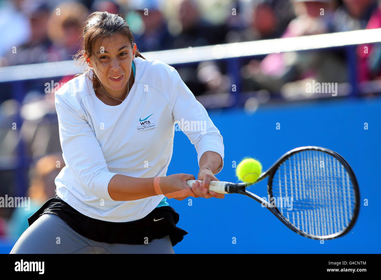 Marion Bartoli in Francia in azione sulla sua strada per vincere l'AEGON International al Devonshire Park, Eastbourne. Foto Stock