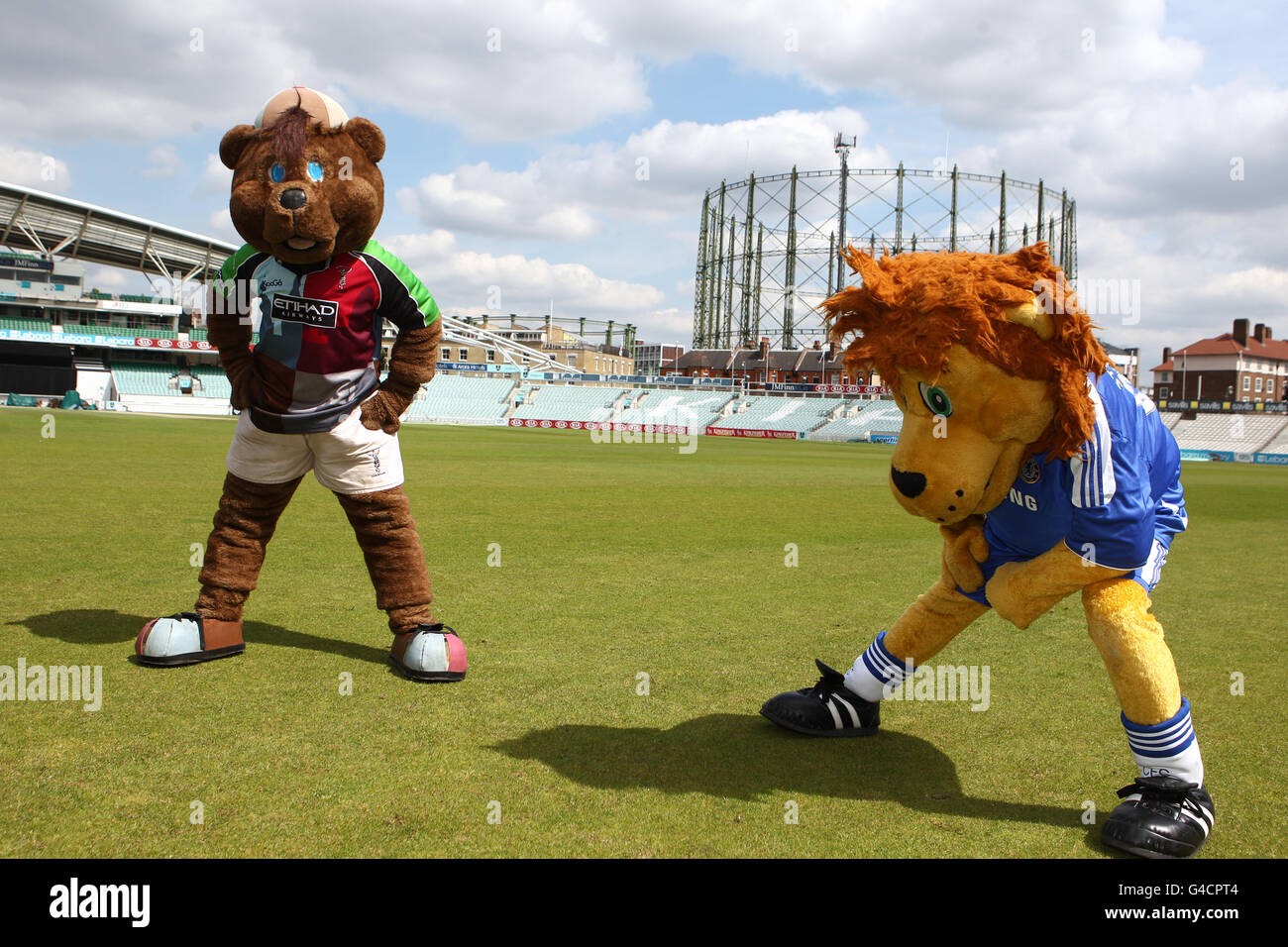 Cricket - mascotte Derby Photocall - Kia ovale Foto Stock