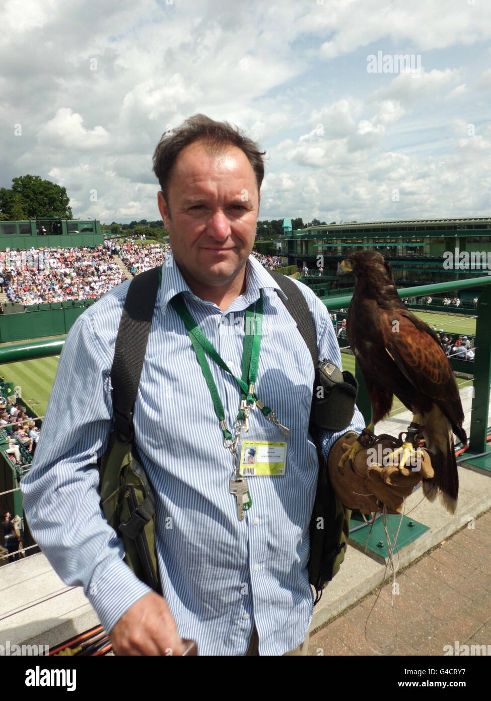 Il guardiano Wayne Davis e Rufus il falco di Harris che aiuta a tenere gli uccelli e il vermin lontano da tutto il tennis e il randello del croquet del prato dell'Inghilterra durante la quindicina di Wimnbledon. Foto Stock