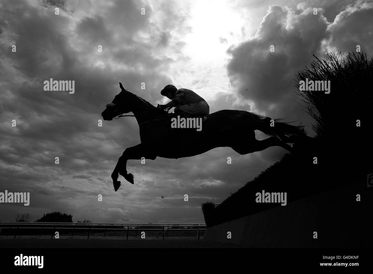 Horse Racing - Family Fun Day - Southwell Racecourse Foto Stock