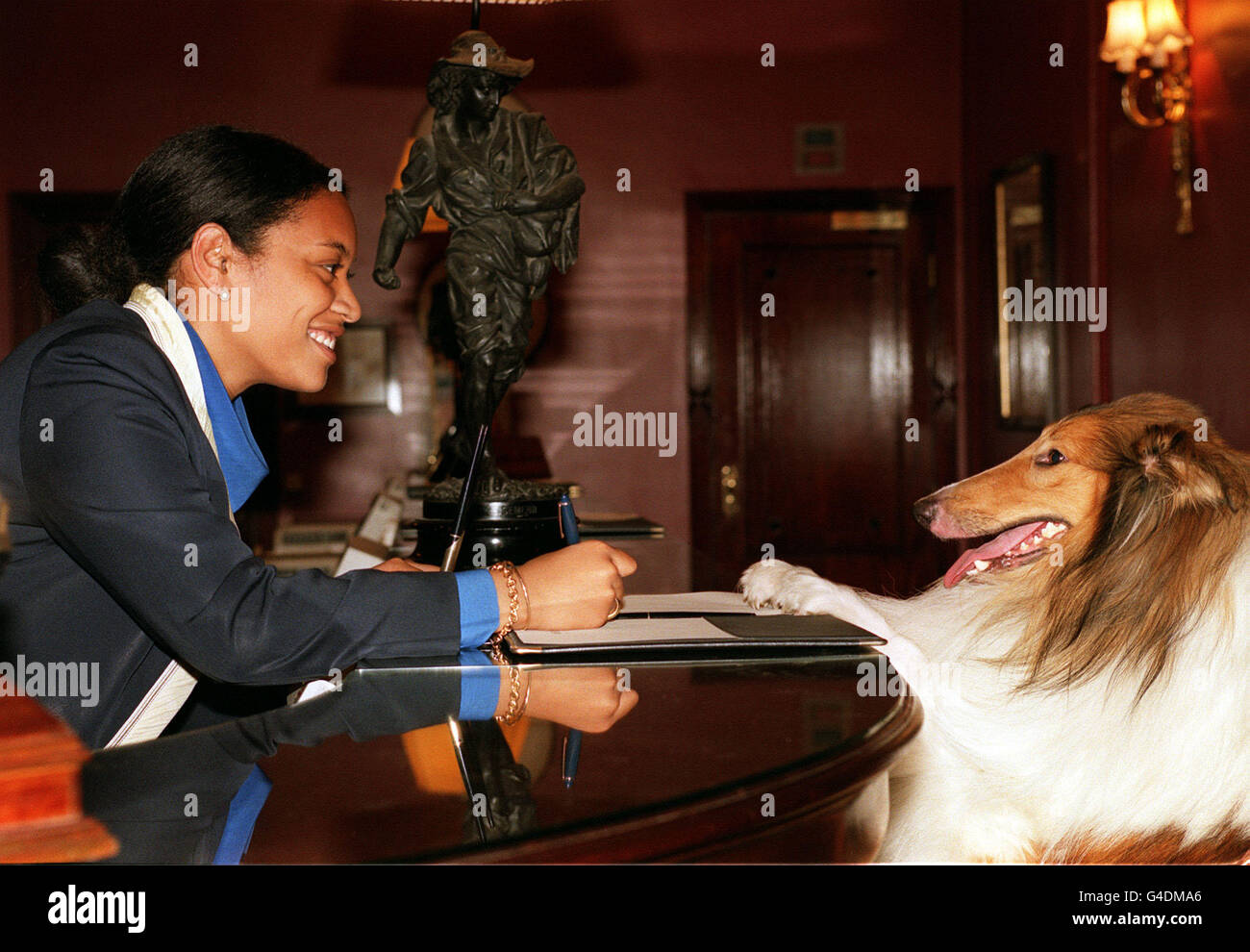 PA NEWS PHOTO 5/8/98 STAR DOG, LASSIE EFFETTUA IL CHECK-IN PRESSO L'HOTEL LE MERIDIEN WALDORF DURANTE UNA VISITA A LONDRA. LA STELLA VETERANA DI 10 FILM E UNA SERIE TELEVISIVA DI 20 ANNI È TORNATO SULLO SCHERMO TELEVISIVO BRITANNICO SUL CANALE 5 IL SABATO MATTINA, CON UNA NUOVA SERIE PER GLI ANNI '90. Foto Stock