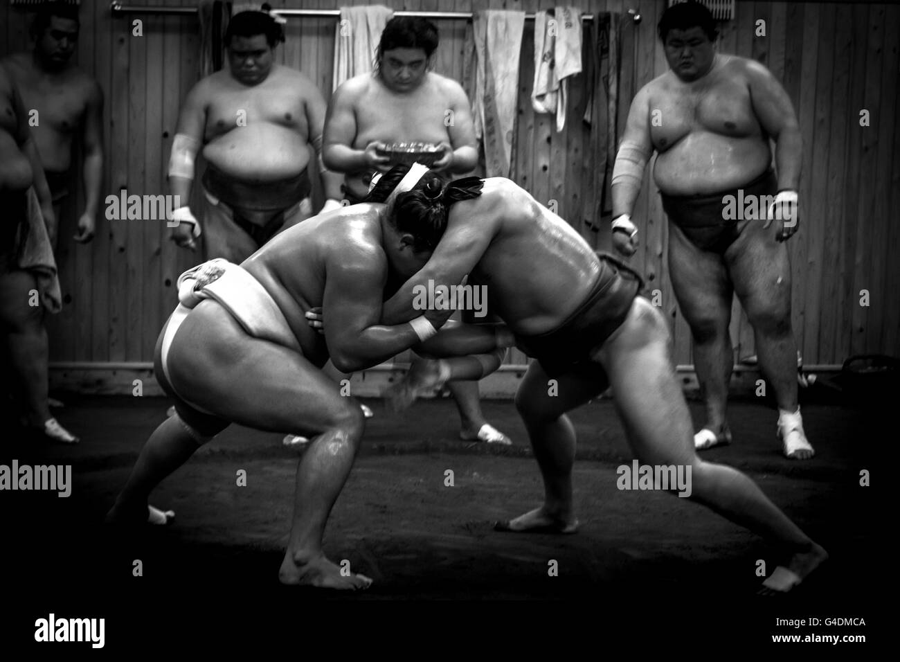 Lottatore di Sumo, Tokyo Giappone Foto Stock