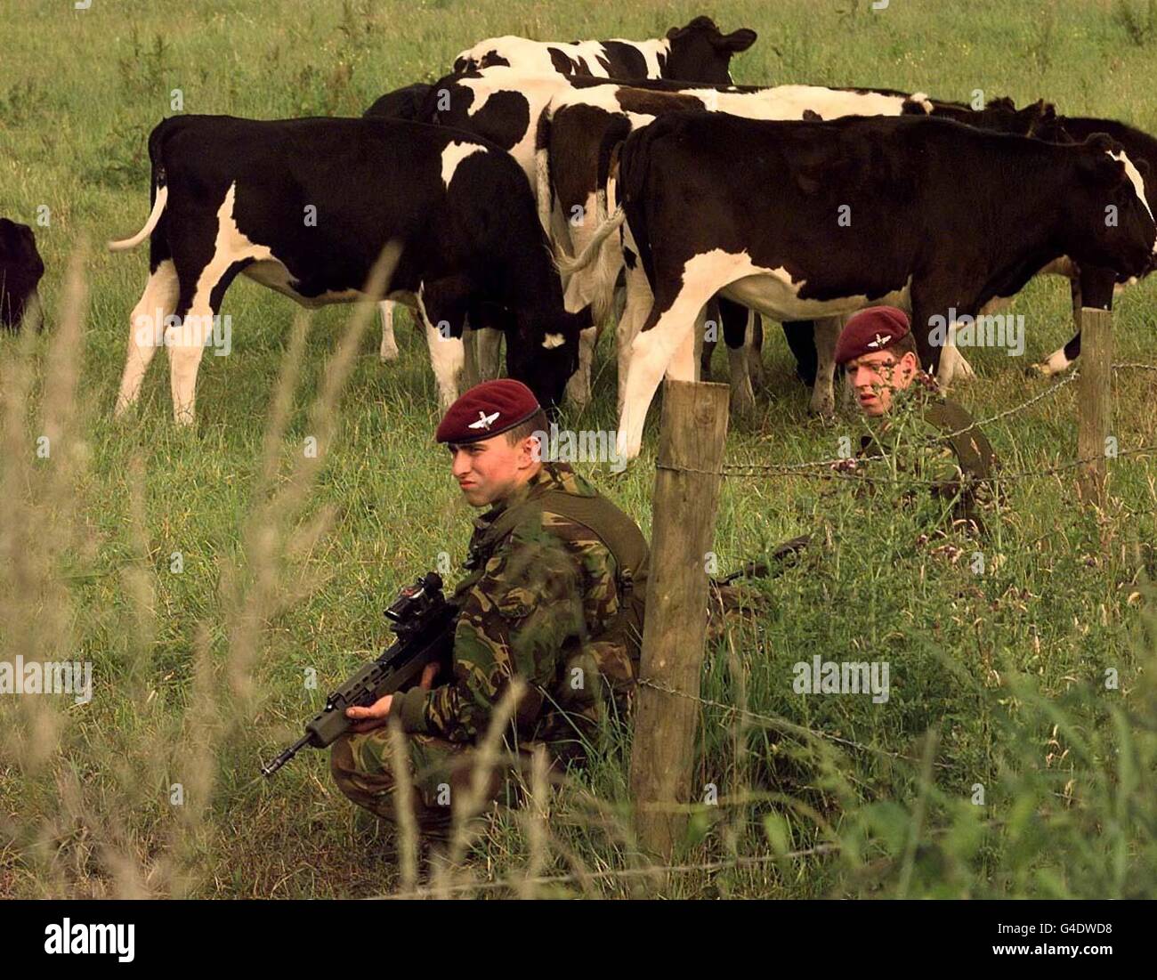 I membri del Reggimento paracadute erano schierati intorno ai campi che circondano la Chiesa di Drumcree stasera (Giovedi). Foto EDI di John Giles/PA. Foto Stock