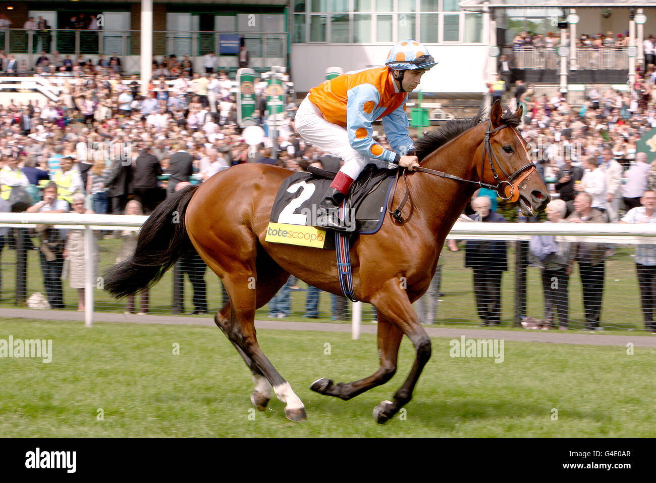 Horse Racing - piastra 2011 Festival - John Smiths piastra Northumberland giorno - Newcastle Racecourse Foto Stock