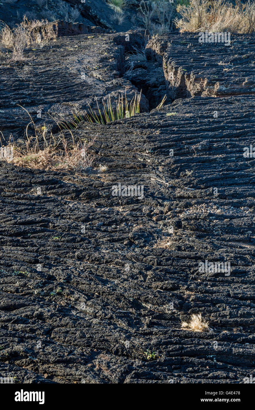 Lava pahoehoe campo, Carrizozo Malpais flusso di lava a valle degli incendi Recreation Area, bacino Tularosa vicino Carrizozo, Nuovo Messico Foto Stock