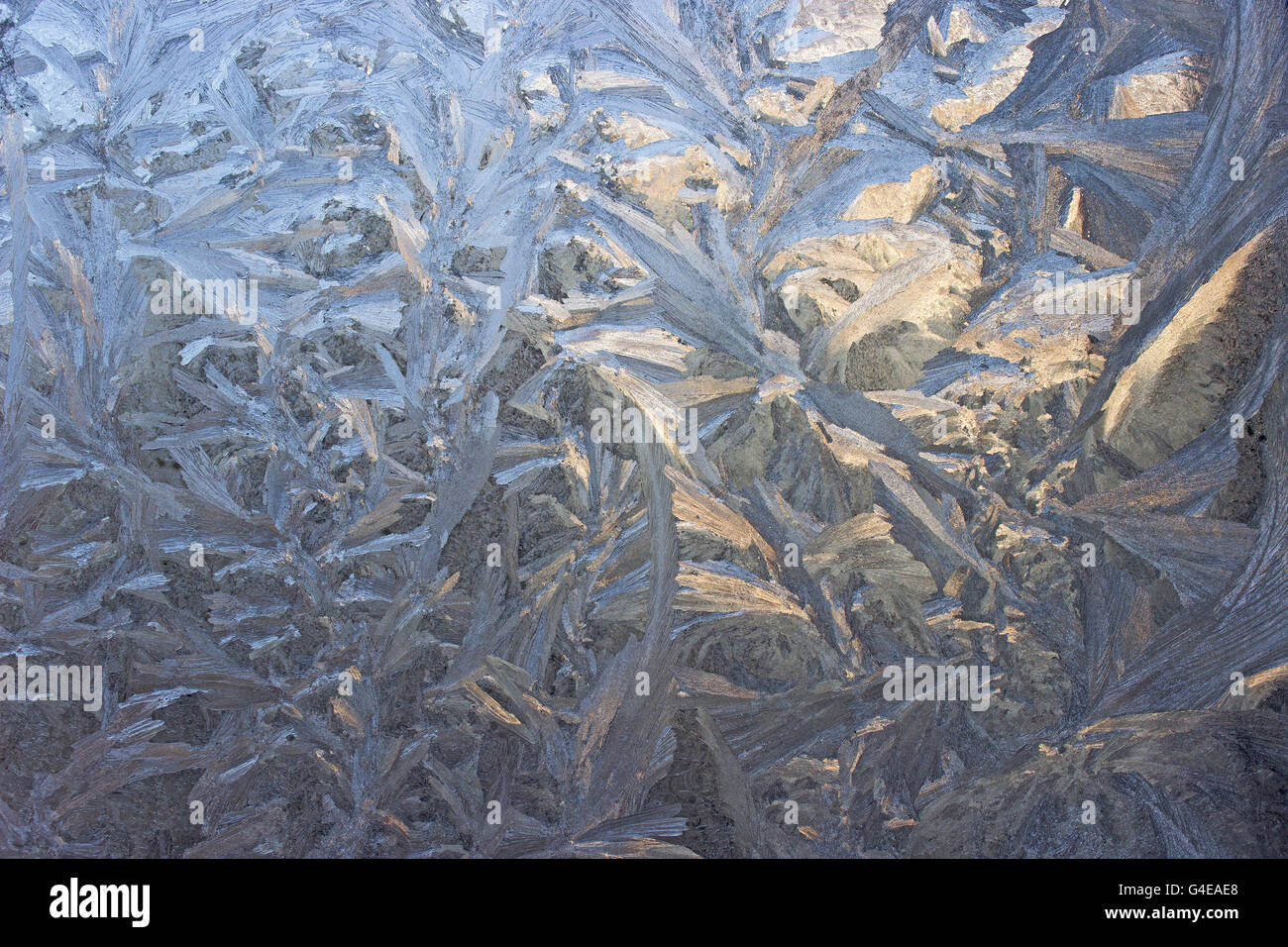 Modello di ghiaccio su una finestra nel periodo invernale Foto Stock