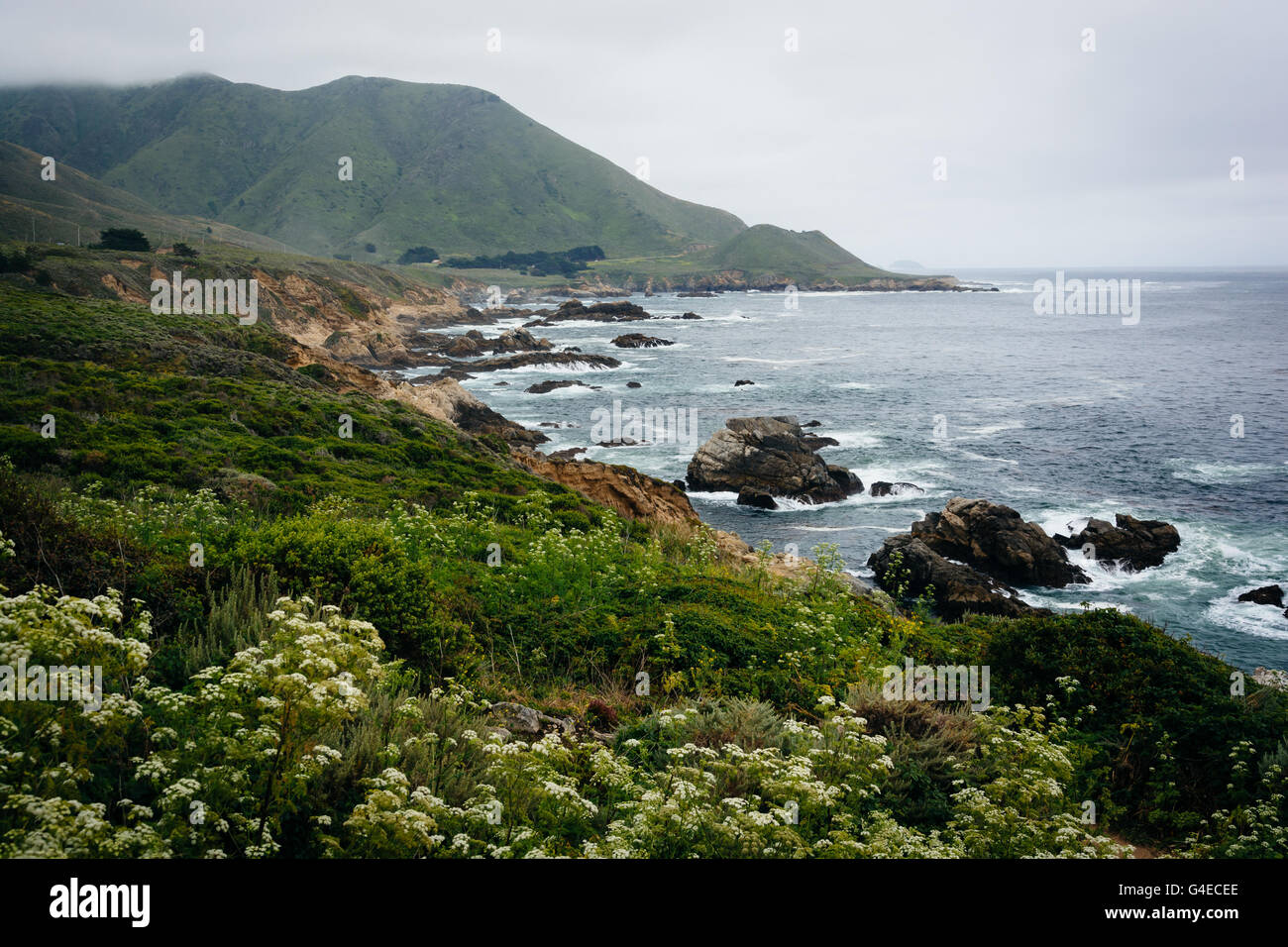 Vista dell'Oceano Pacifico e le montagne a Garrapata State Park, California. Foto Stock