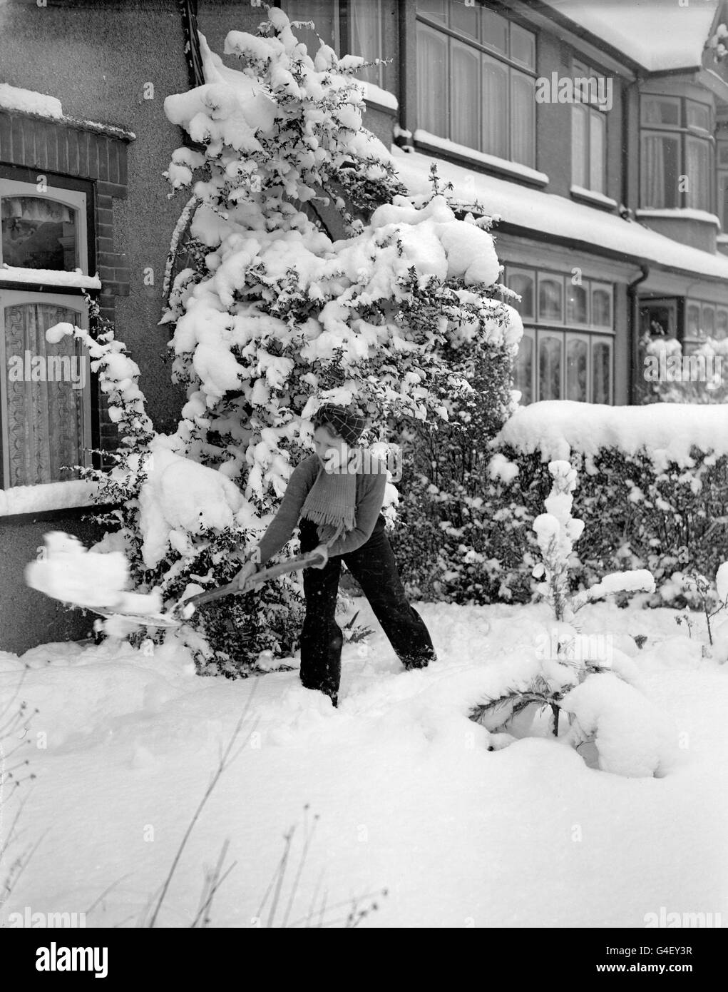 La neve è stata liberata dalla porta d'ingresso al cancello del giardino a Beckenham, Kent, dove la neve pesante ha coperto il terreno più di un piede profondo. Foto Stock