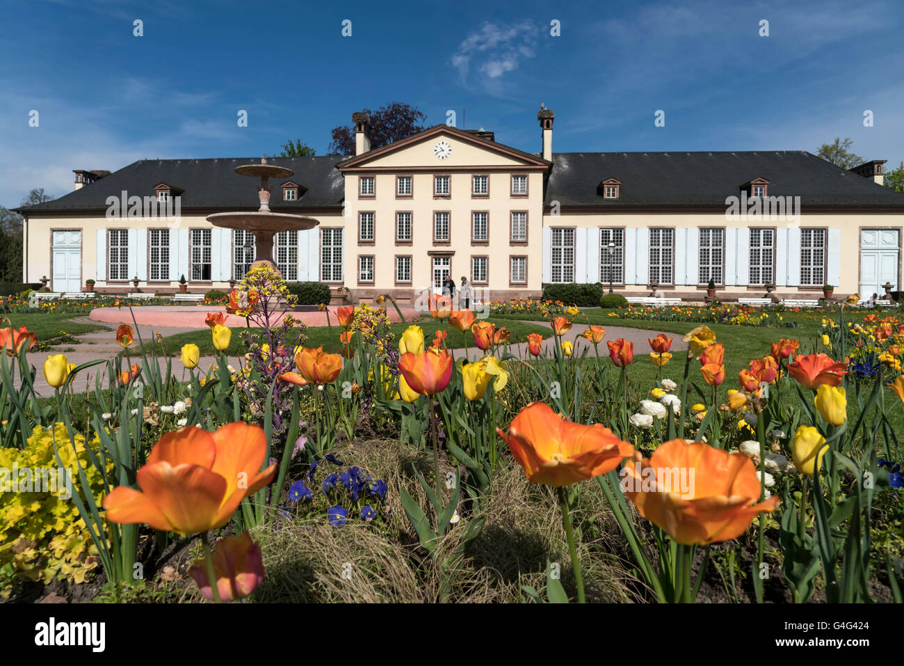 Fiori di primavera e il Pavillon Giuseppina presso il Parco Parc de l'Orangerie a Strasburgo, Alsazia, Francia Foto Stock
