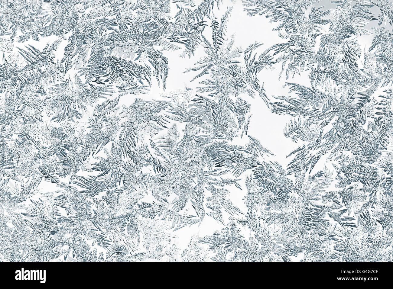 Primo piano della grande neve o cristalli di ghiaccio Foto Stock