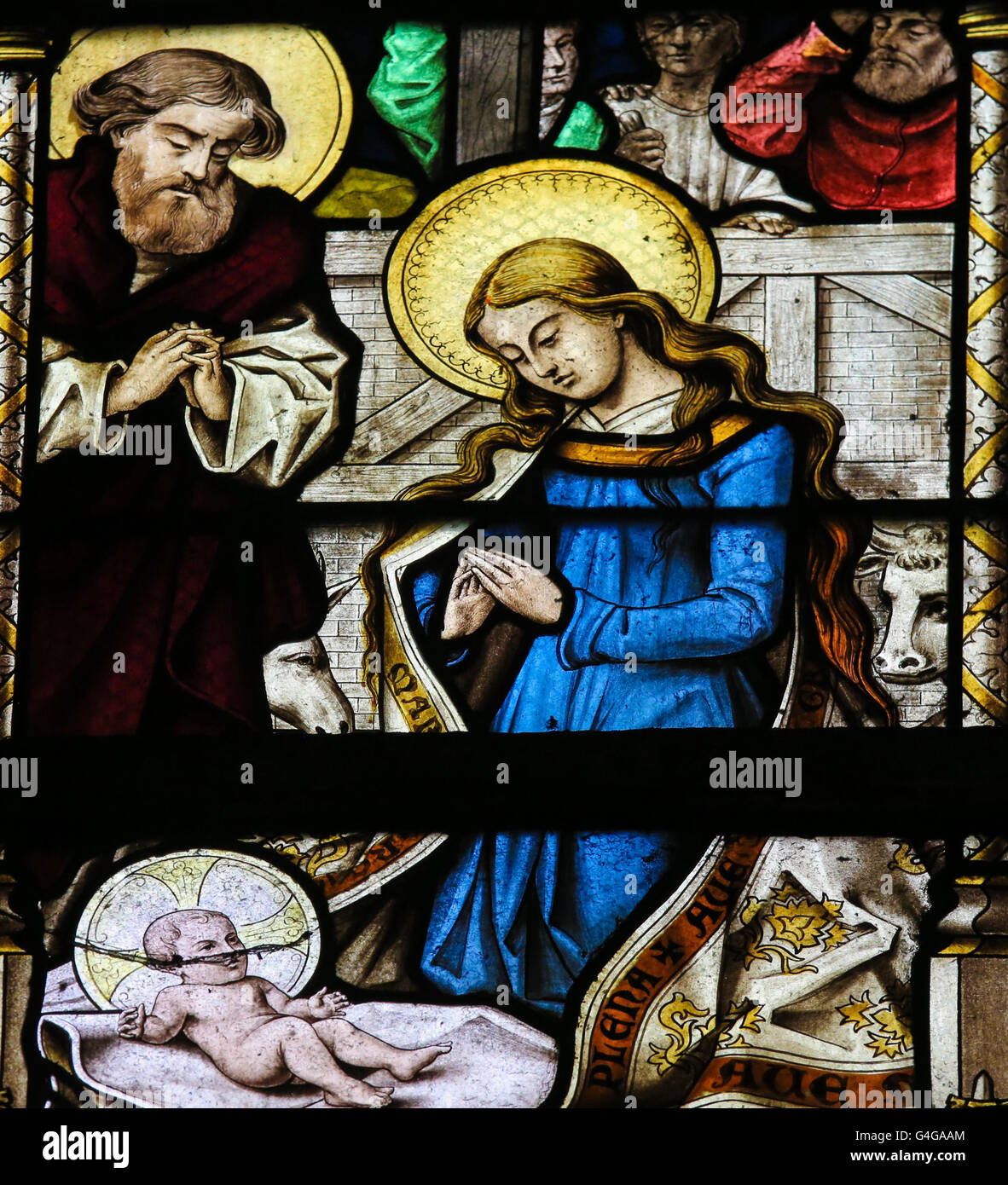 Vetrata di St Gummarus chiesa in Lier, Belgio, che raffigura la scena della Natività a Natale Foto Stock