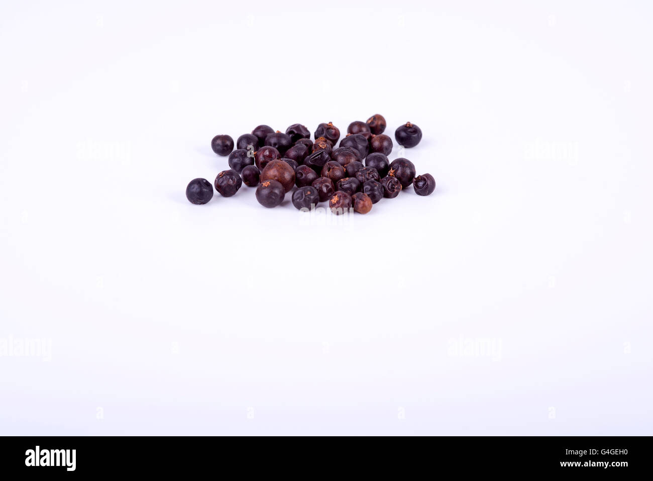 Fotografia che mostra i frutti di ginepro su sfondo bianco Foto Stock