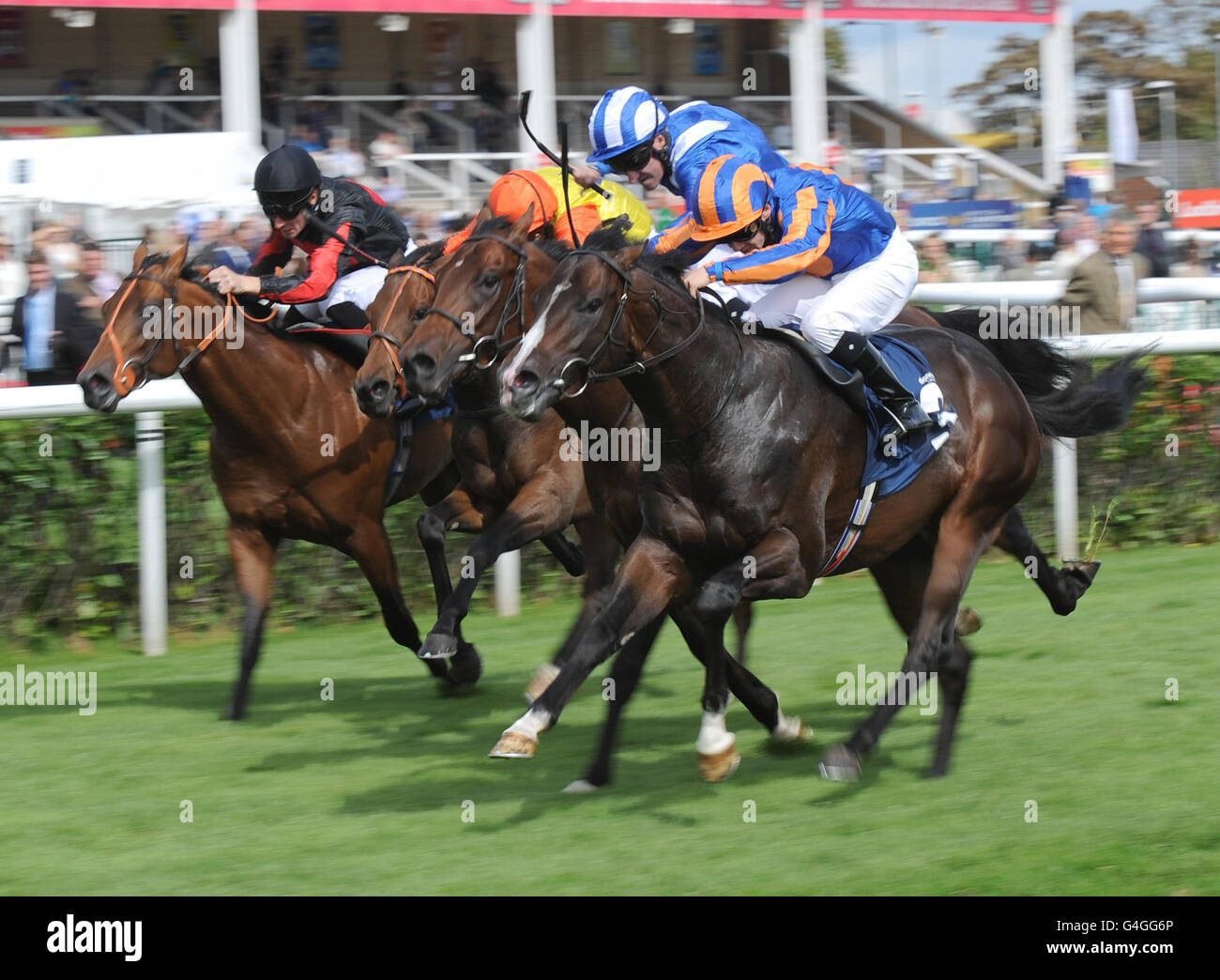 Horse Racing - Ladbrokes St. Leger Festival 2011 - Stobart Doncaster Cup giorno - Doncaster Racecourse Foto Stock