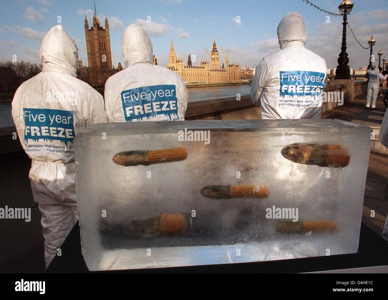 Gli attivisti anti-GM (alimenti modificati genitalmente), compresi gli amici della Terra, sotto il banner di cinque anni Freeze ha lanciato una campagna per il governo per imporre un divieto di cinque anni sugli alimenti geneticamente modificati a Londra con un cubo di ghiaccio di 3 piedi contenente pesci "mutati". Foto Stock