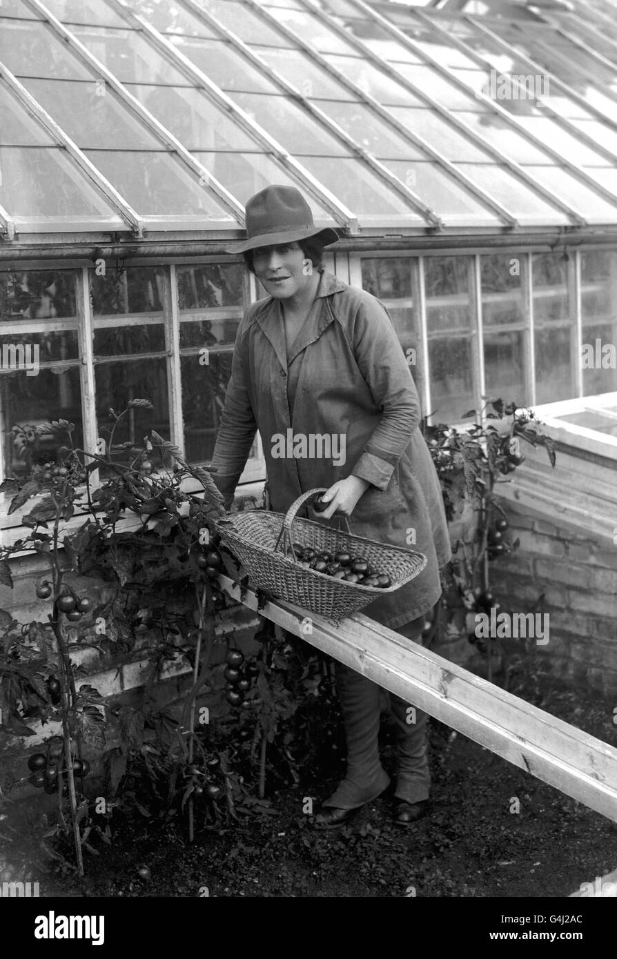 Intrattenimento - Lillie Langtry - 1919. Attrice Lady de bathe, ex Lillie Langtry, al lavoro in una fattoria vicino Newmarket. Foto Stock