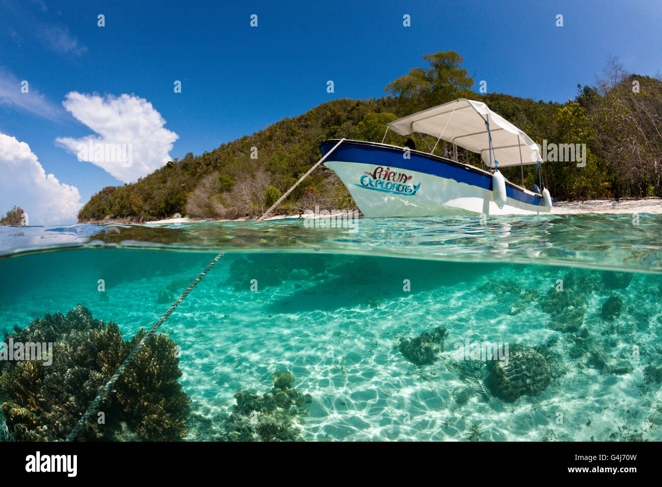 Barca Diving Papua esploratori Resort Raja Ampat, Papua occidentale, in Indonesia Foto Stock