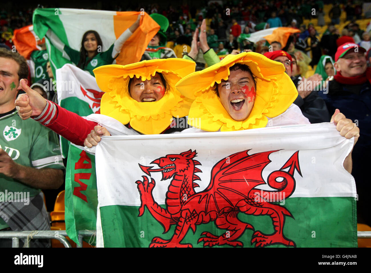 I tifosi del Galles festeggiano la loro vittoria sull'Irlanda durante la partita della finale della Coppa del mondo di rugby del 2011 al Wellington Regional Stadium di Wellington. Foto Stock