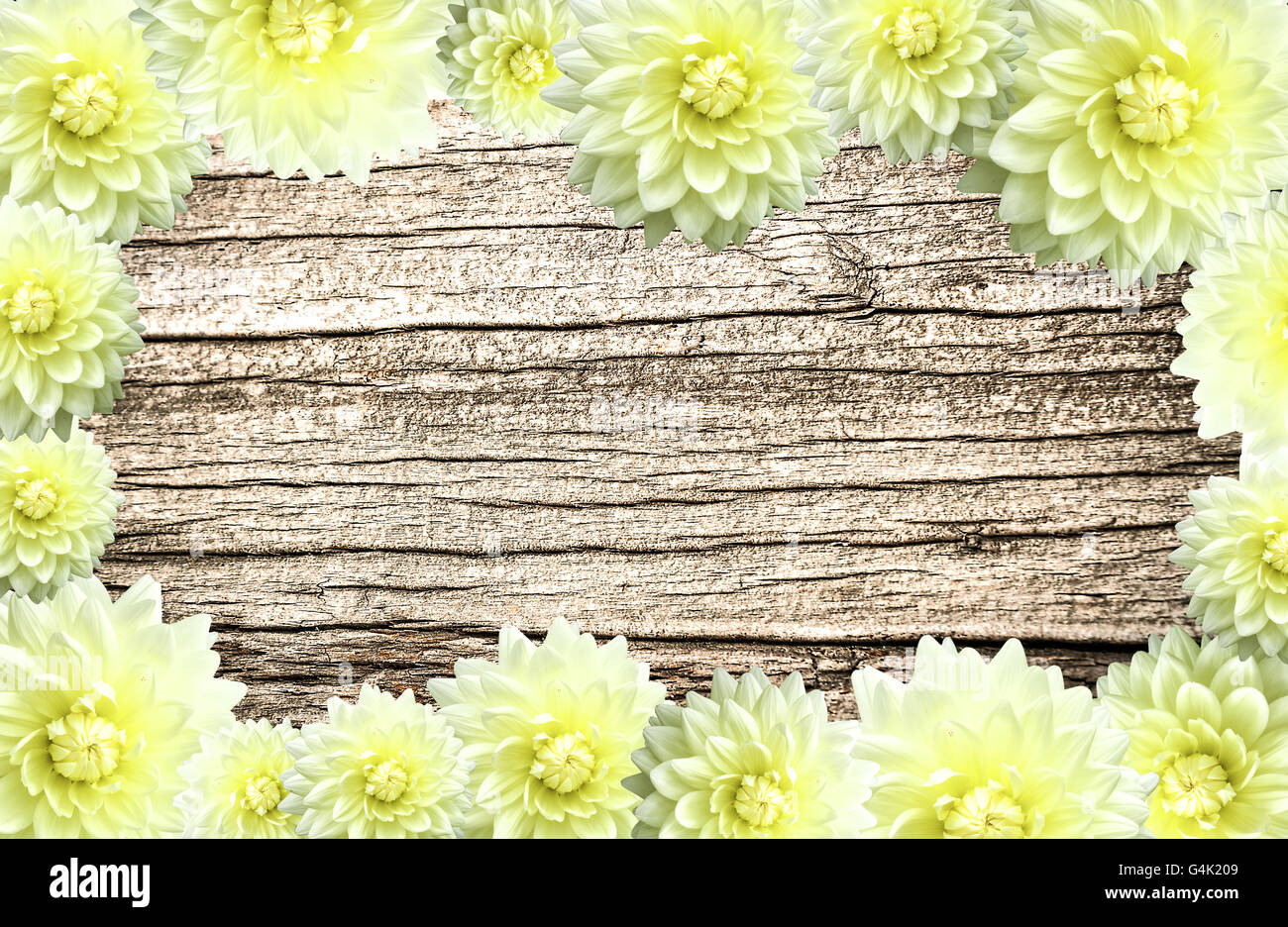 La Cornice di fiori di confine sul legno vecchio sfondo texture Foto Stock