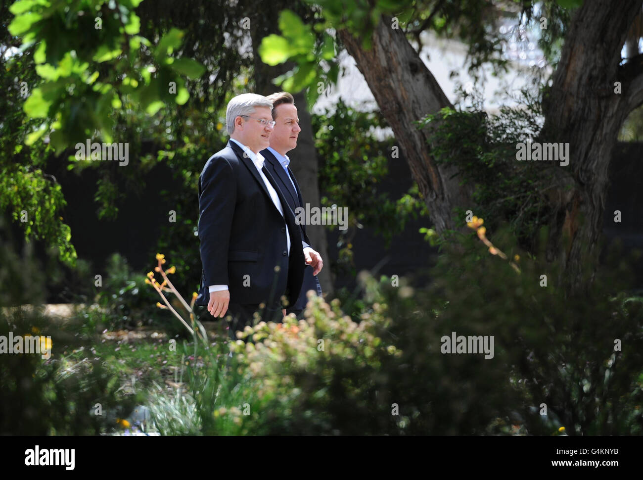 Il primo ministro David Cameron e il primo ministro canadese Stephen Harper si trovano a Perth durante una "sessione di ritiro" all'incontro dei Capi di Governo del Commonwealth, Australia occidentale. Foto Stock