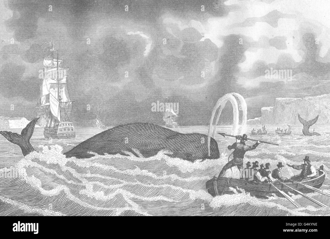 GUYANA: Guyane Française: Pêche de la Baleine, harponnement. Caccia alle balene, 1835 Foto Stock
