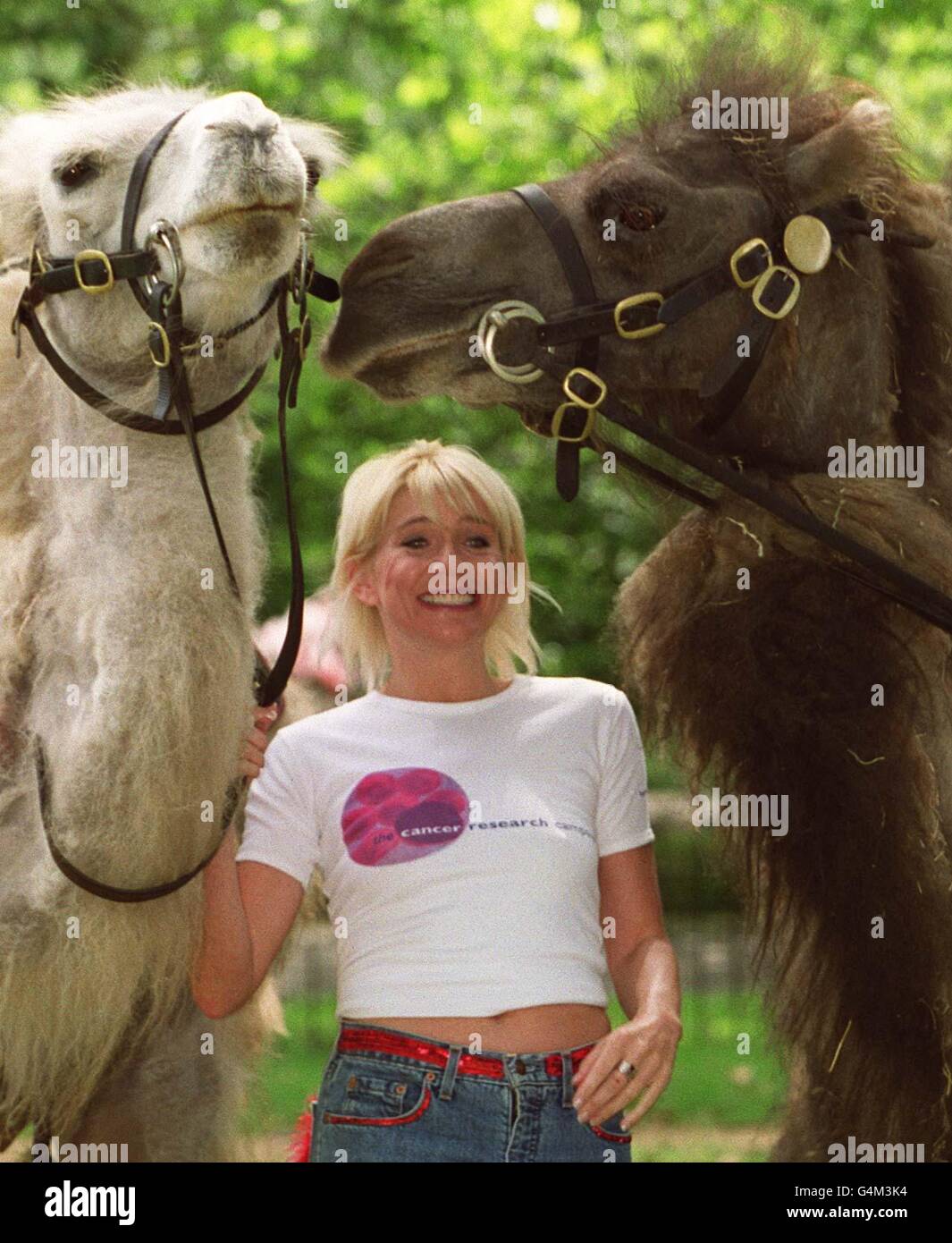 L'attrice Michelle Collins con i cammelli Bactriano Nina e Nadia allo Zoo di Londra, per lanciare l'appello di moneta estera della Campagna di Ricerca del cancro. La campagna sta esortando il pubblico a sostenere l'appello che trasforma le monete estere rimanenti in sterlina per trovare cure contro il cancro. Foto Stock