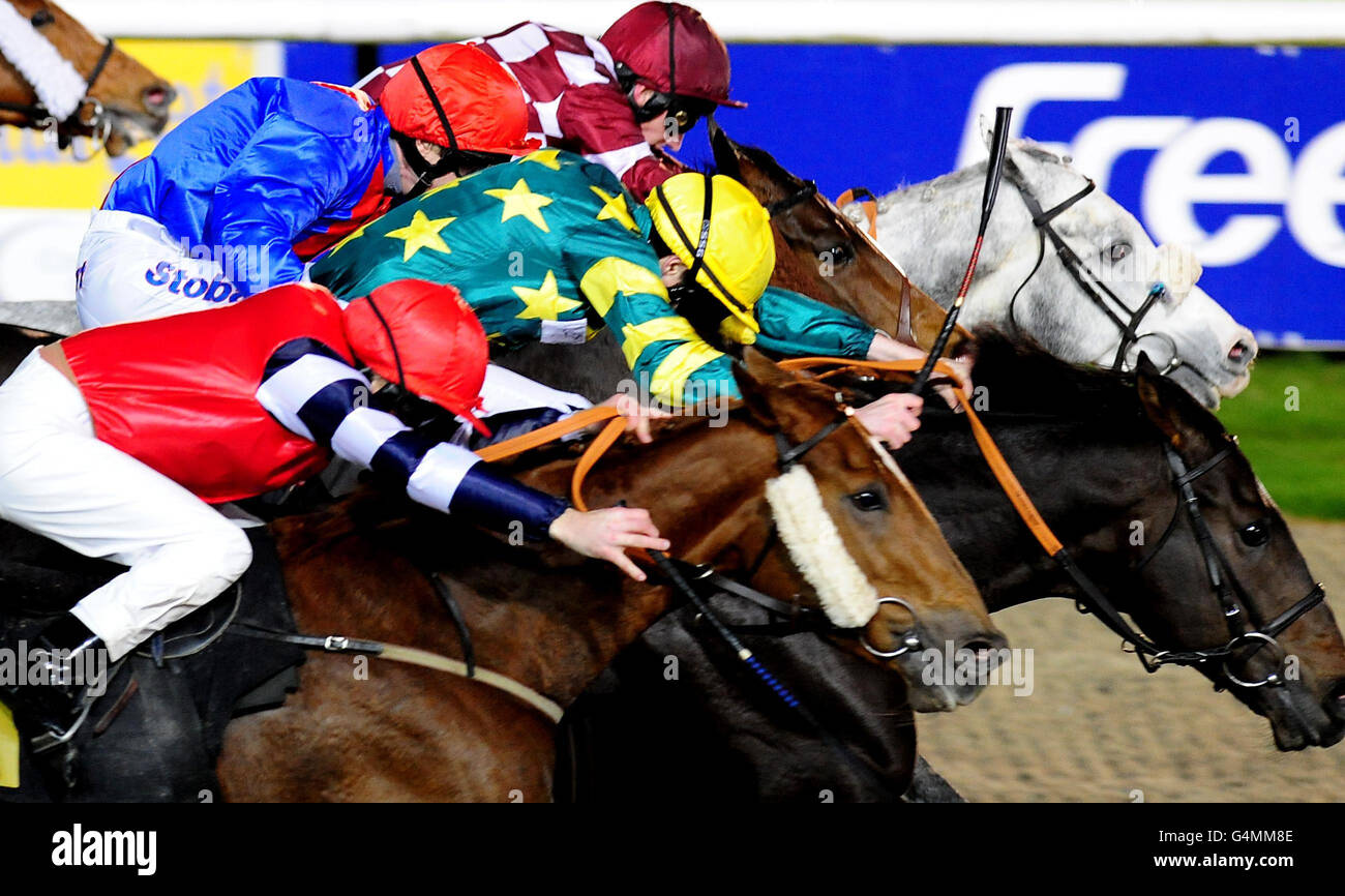 Horse Racing - Wolverhampton Racecourse Foto Stock