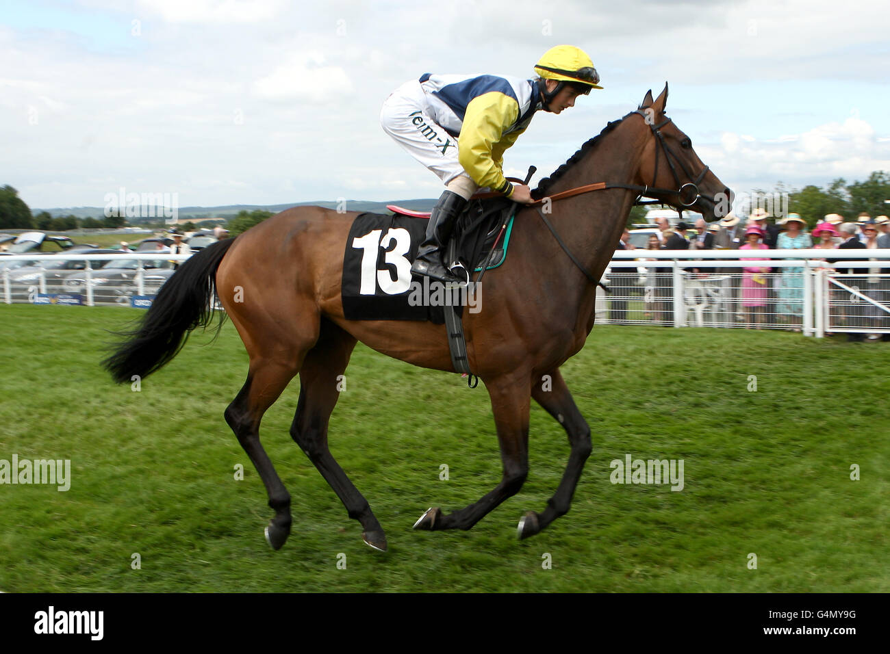 Horse Racing - 2011 gloriosa Goodwood Festival - gloriosa Sussex Stakes giorno - Goodwood Racecourse Foto Stock