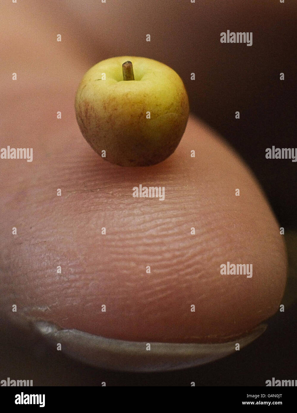 Miniature Foto Stock