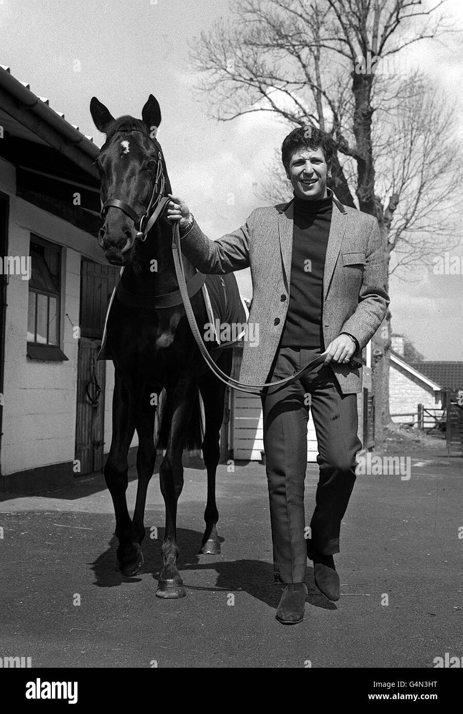 Il cantante gallese Tom Jones con il cavallo da corsa "cammina!" Che ha appena acquistato per una somma non divulgata presso le scuderie di Brian Swift a Epsom in Surrey. Il cavallo da corsa prende il nome da una canzone pop Burt Bacharach, originariamente cantata da Dionne Warwick. Foto Stock