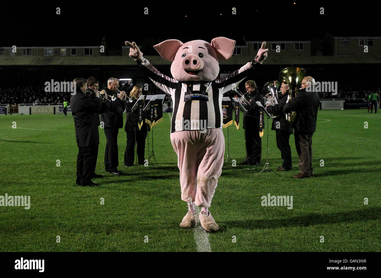 La mascotte di maiale a Bath City conduce la band Bath Spa in Ottone a metà tempo durante la prima esecuzione della fa Cup a Twerton Park, Bath. Foto Stock