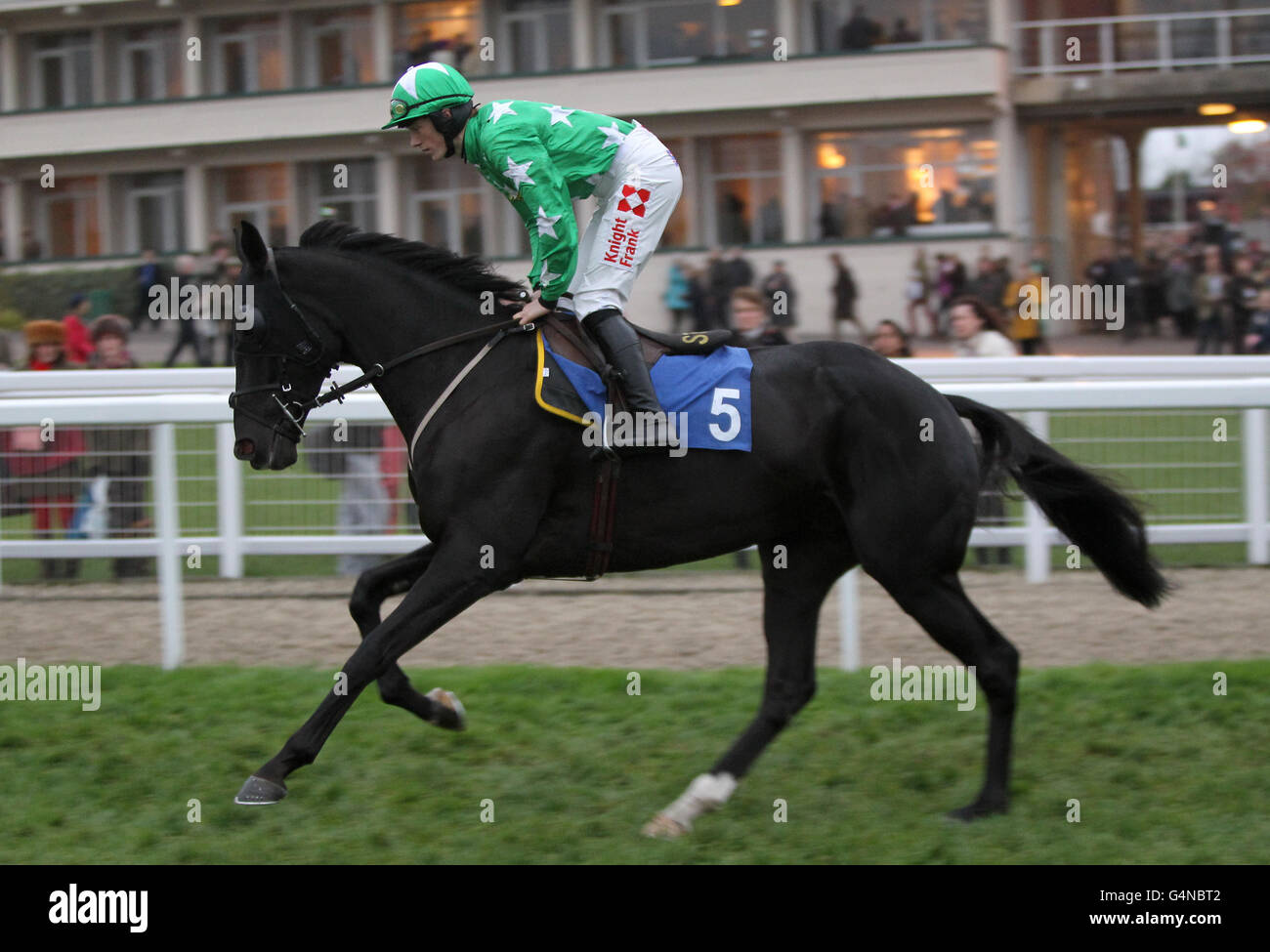 Corse ippiche - l'Open 2011 - Campagna - Ippodromo di Cheltenham. Chase al circuito di Cheltenham. Foto Stock