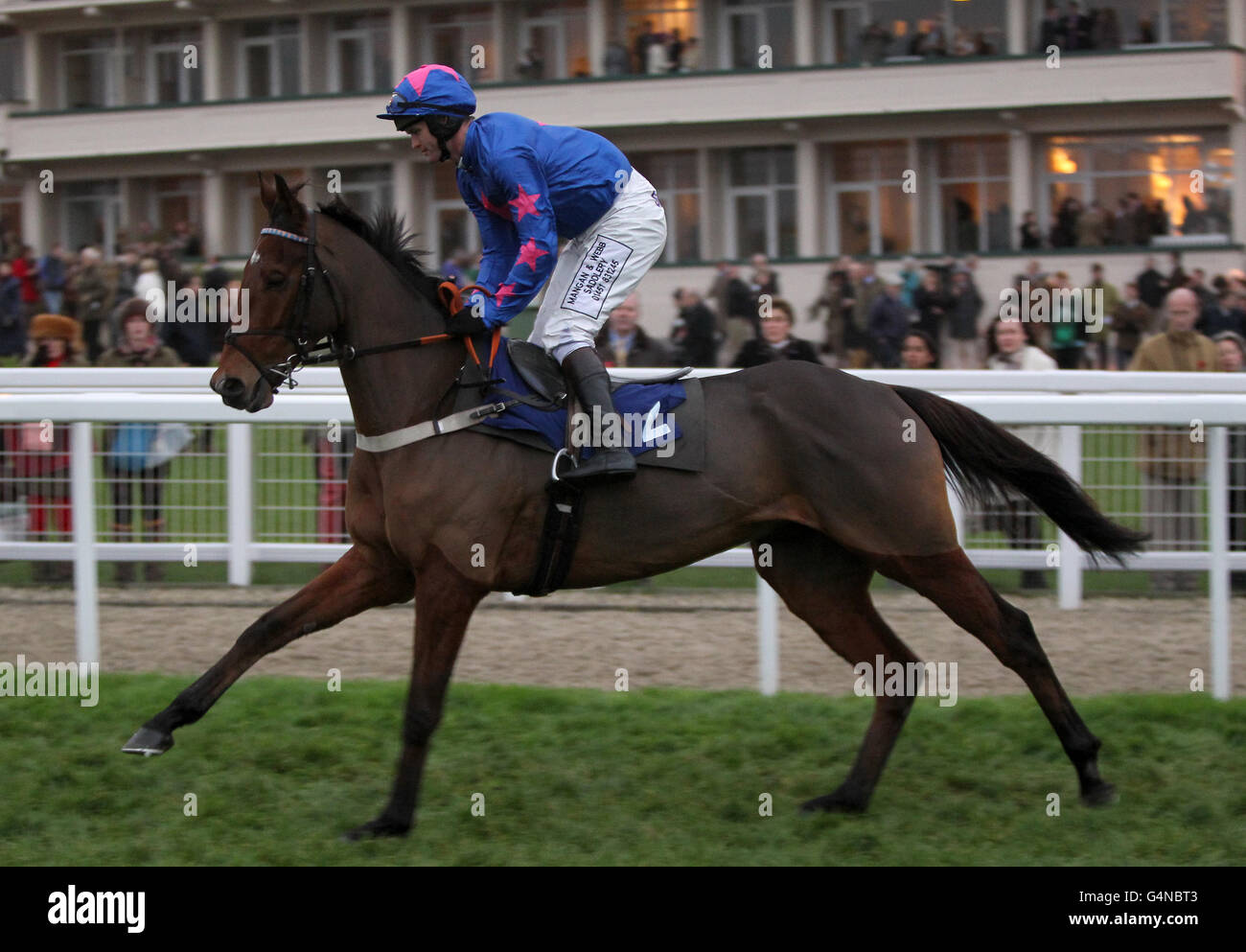 Corse ippiche - l'Open 2011 - Campagna - Ippodromo di Cheltenham. Chase al circuito di Cheltenham. Foto Stock