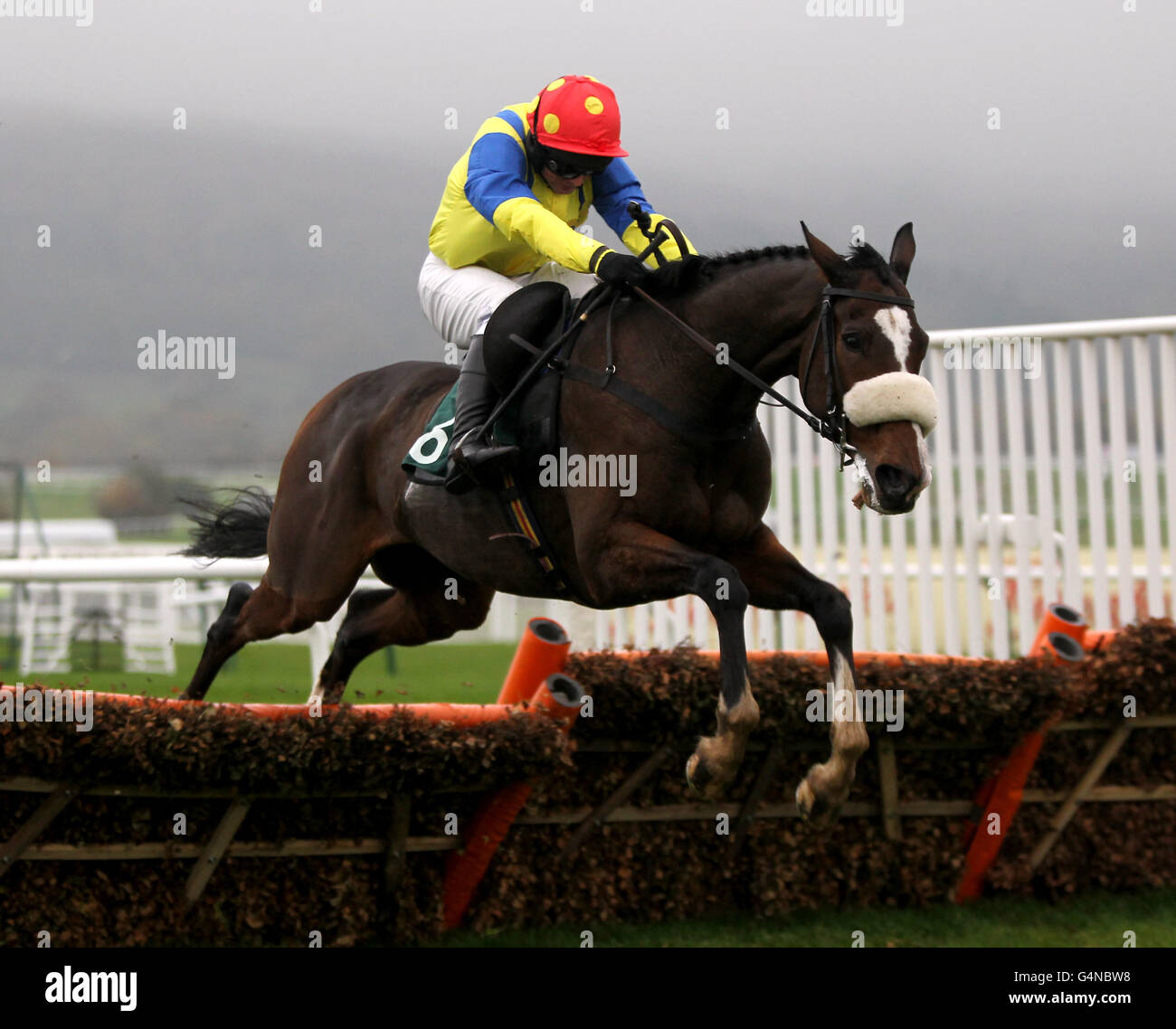 Corse ippiche - l'Open 2011 - Campagna - Ippodromo di Cheltenham. Hurdle al corso di Cheltenham. Foto Stock