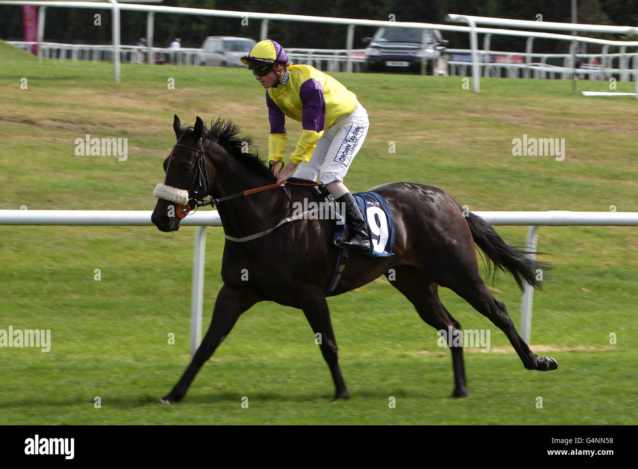 Horse Racing - Ladbrokes St. Leger Festival 2011 - Stobart Doncaster Cup giorno - Doncaster Racecourse Foto Stock