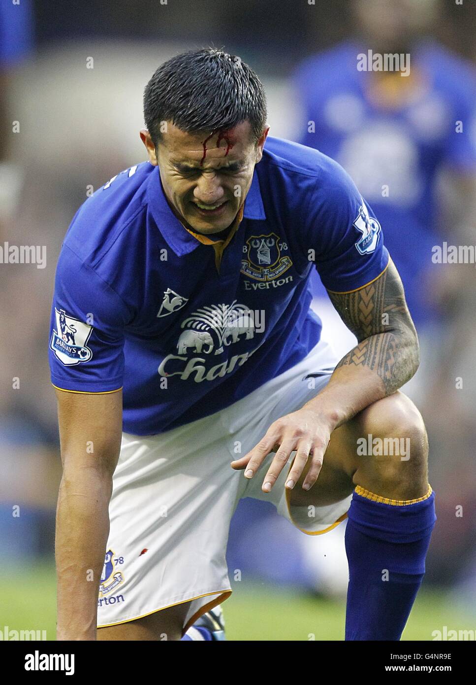 Calcio - Barclays Premier League - Everton / Wolverhampton Wanderers - Goodison Park. Tim Cahill di Everton si lamenta quando il sangue scorre giù per la testa dopo aver subito una ferita Foto Stock