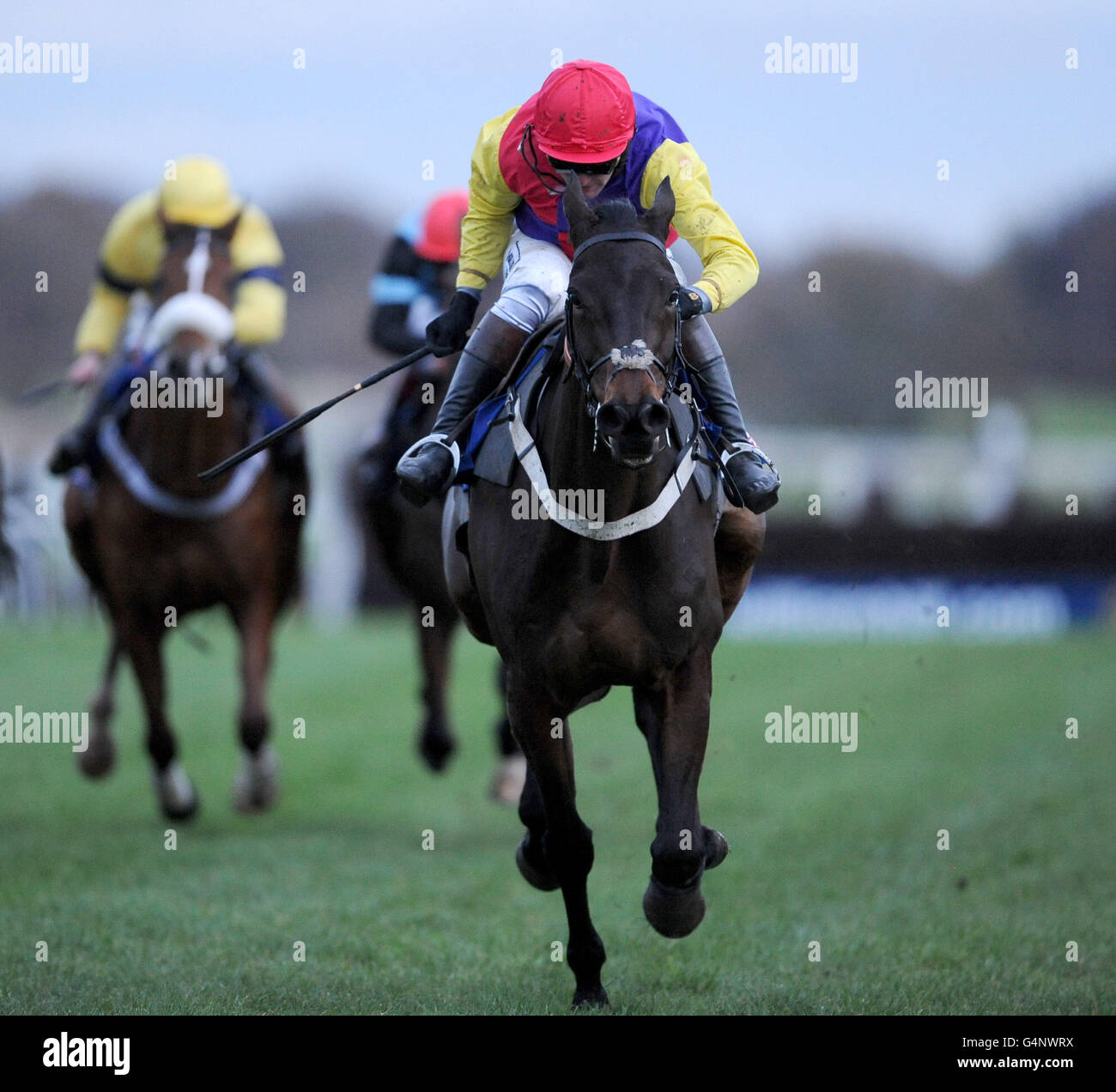 Horse Racing - StanJames.com combattimenti quinto ostacolo - Newcastle Racecourse Foto Stock