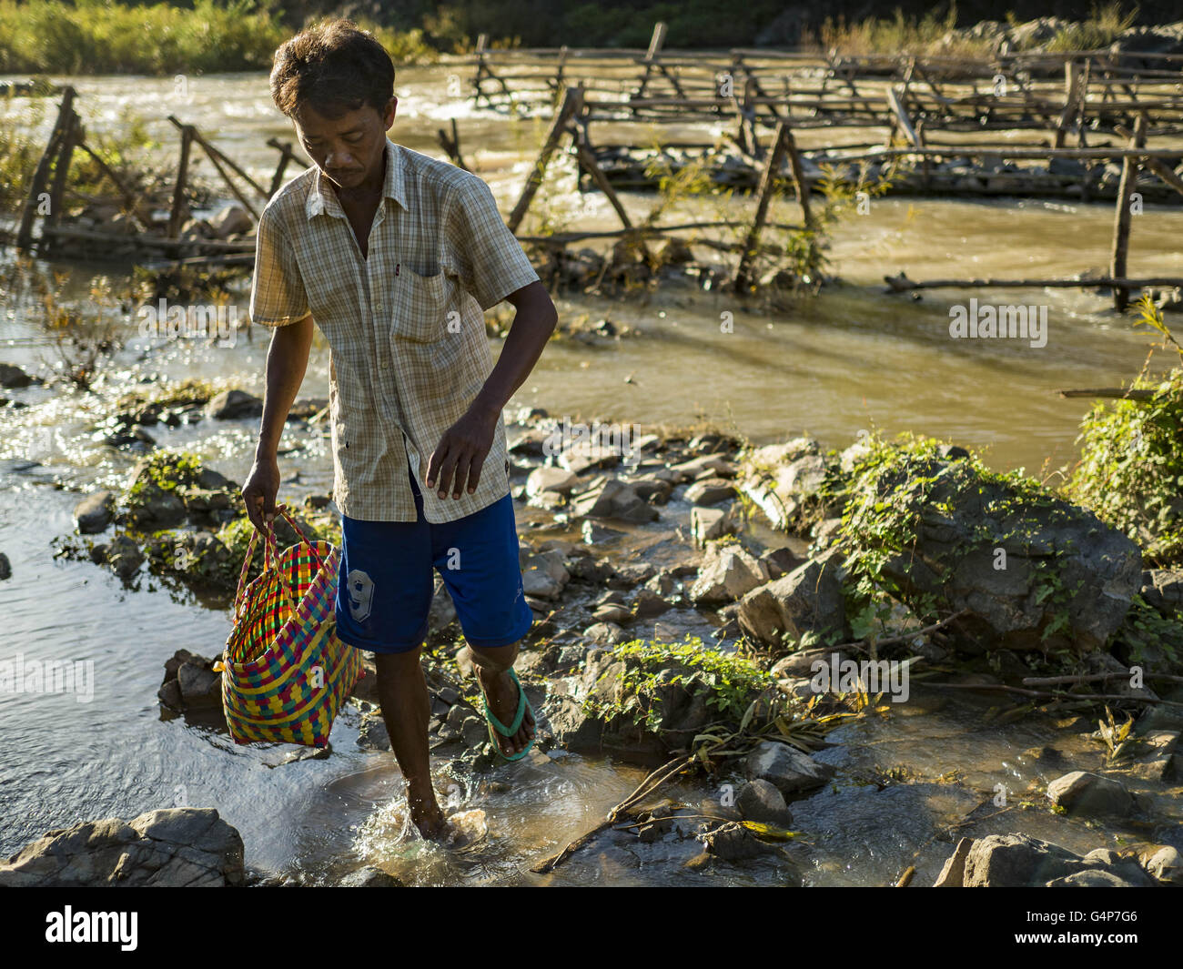 Giugno 19, 2016 - Don Khone, Champasak, Laos - un pescatore cammina indietro alla riva con la sua cattura in Khon Pa Cascate di Soi, sul lato est di Don Khon. È la più piccola delle due cascate in Don Khon. I pescatori hanno costruito un elaborato sistema di ponti di corda sopra le cascate che utilizzano per raggiungere il pesce trappole hanno impostato. I pescatori della zona si contende con rese inferiori e i pesci più piccoli, che minacciano il loro modo di vita. Il fiume Mekong è uno dei più biodiversi e produttivi fiumi sulla terra. Si tratta di un hotspot globali per i pesci di acqua dolce: oltre mille specie sono stati registrati, sec Foto Stock