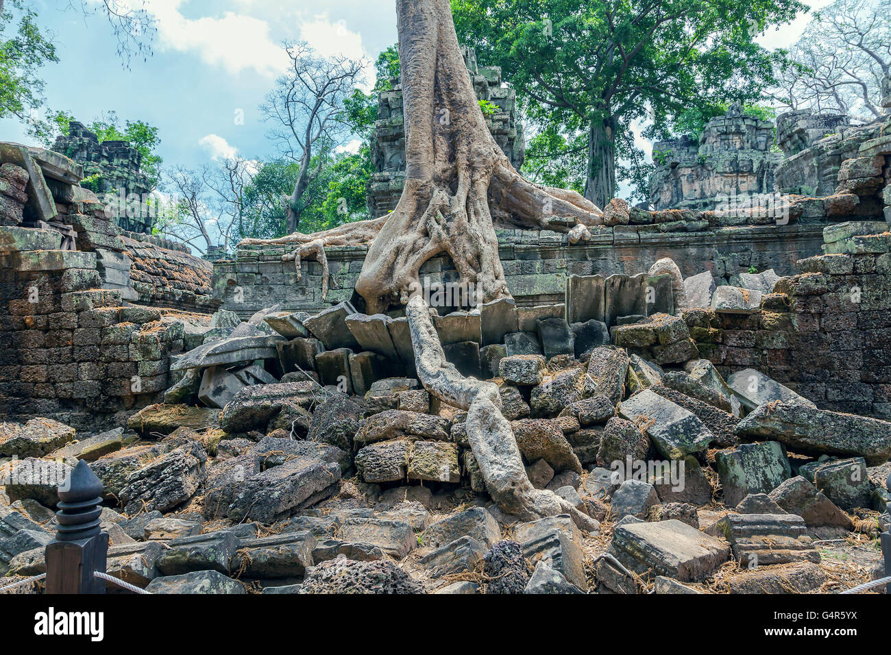 Rovine dell antico tempio Khmer di Ta Prohm Foto Stock