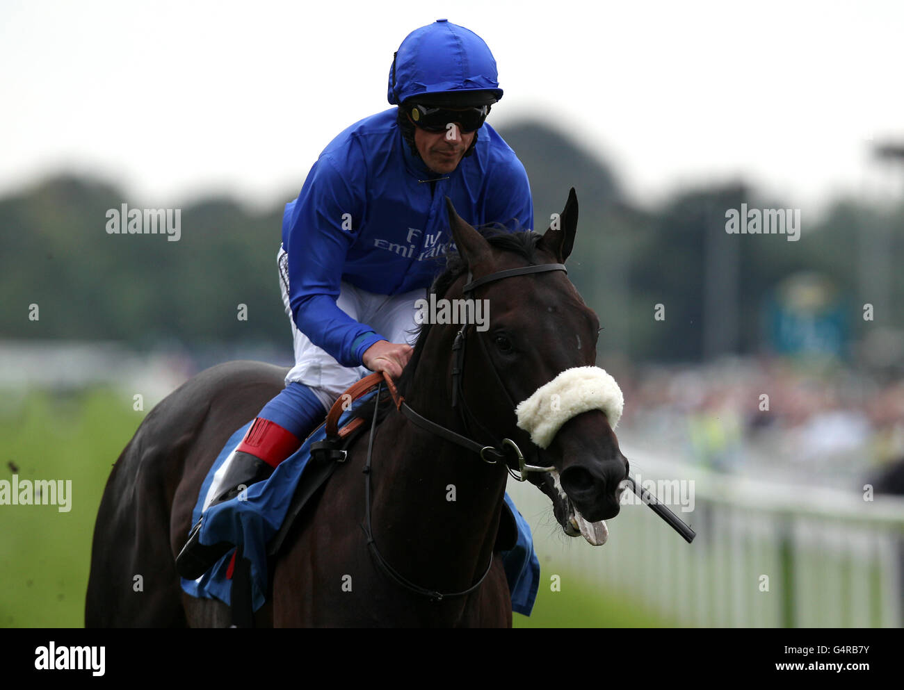 Corse ippiche - Ebor Festival 2011 - Coolmore Nunthorpe - Ippodromo di York. Lupo pianto guidato da Frankie Dettori Foto Stock