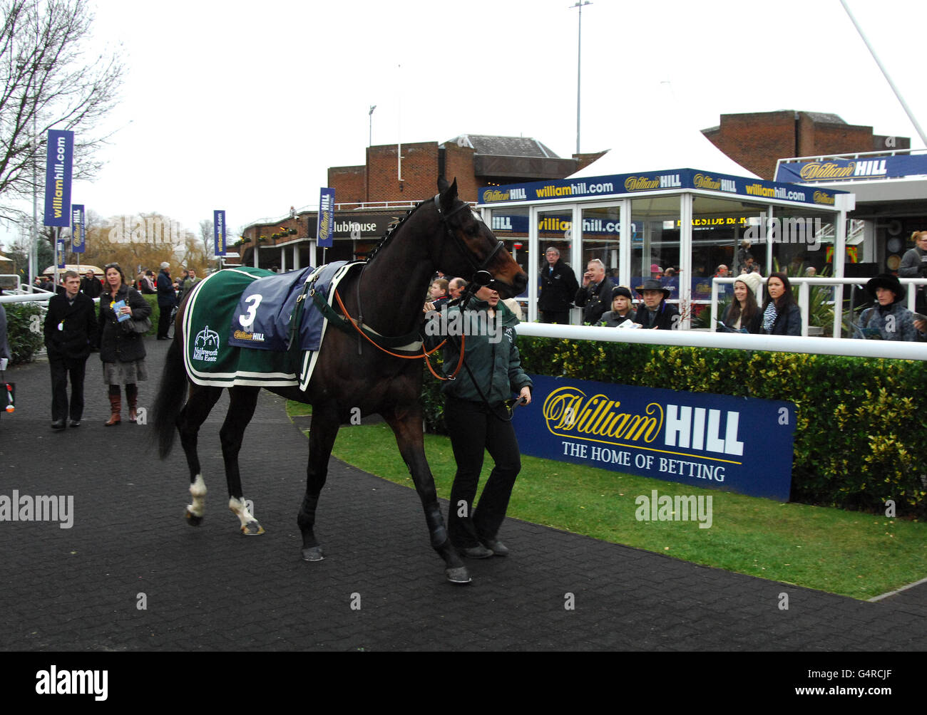 Corse ippiche - il William Hill Winter Festival 2011 - il Desert Orchid Chase - Kempton Park. Cartello William Hill al Kempton Park Foto Stock