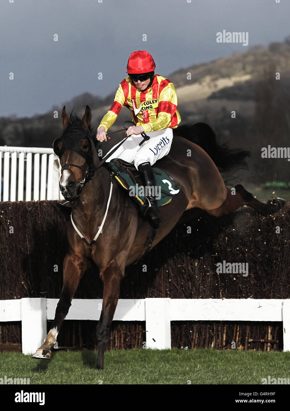 Handicap Chase al circuito di Cheltenham, venerdì 9 dicembre 2011. Il credito fotografico dovrebbe essere: David Davies/PA Wire Foto Stock