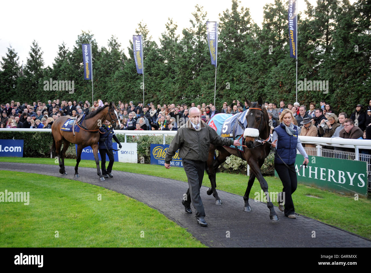 Corse di cavalli - The William Hill Winter Festival 2011 - King George VI Steeple Chase - Kempton Park. Una vista generale, dato che i cavalli sono parati di fronte alla folla impanata al Kempton Park Foto Stock