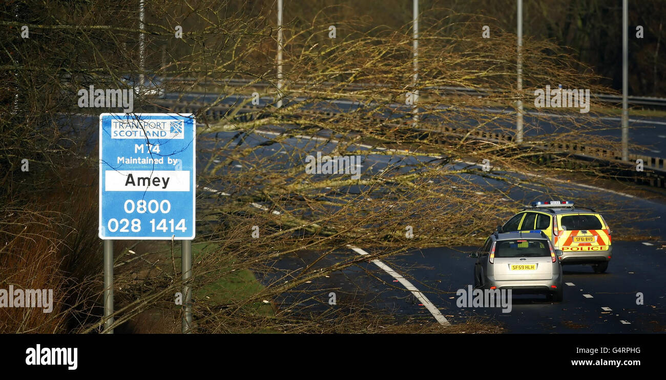 Gli alberi caduti bloccano due corsie della M74 vicino alla stazione di servizio di Bothwell in Scozia, mentre feroci tempeste hanno devastato la Gran Bretagna oggi, con forti piogge e venti che spadaccano fino a 85 mph. Foto Stock