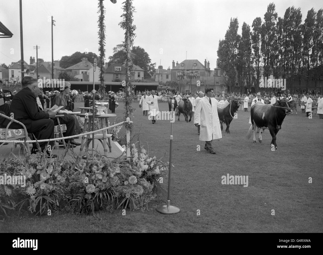 La regina Elisabetta II e il duca di Edimburgo guardano una sfilata di bovini di Jersey a Springfield, il terreno di esposizione in Jersey della Royal Jersey Agricultural and Horticultural Society. Foto Stock