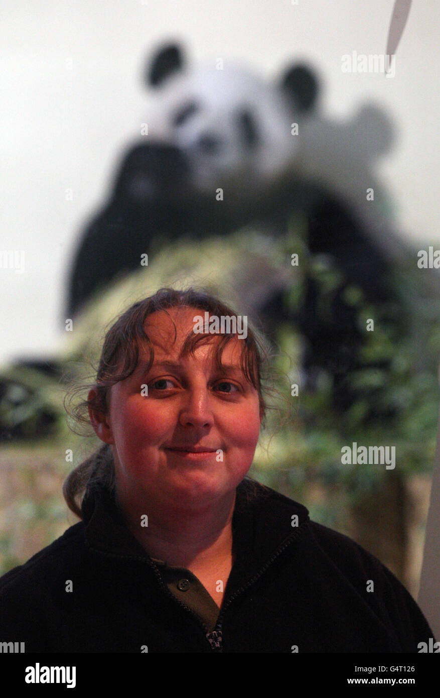 Il guardiano Sharon Hatton si trova di fronte a Yang Guang il panda allo Zoo di Edimburgo. Foto Stock