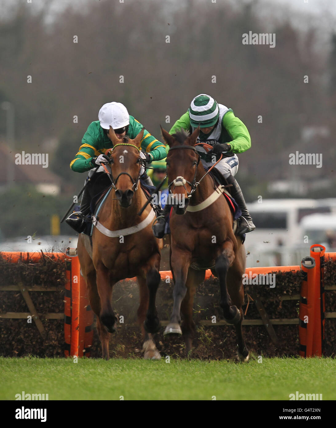 Corse di cavalli - Il William Hill Winter Festival 2011 - King George VI Steeple Chase - Kempton Park Foto Stock