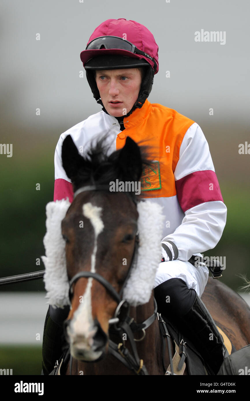 Jockey Callum Williams su Quay Meadow prima di Betfair Serie di addestramento dei jockeys condizionali ostacoli per handicap Foto Stock