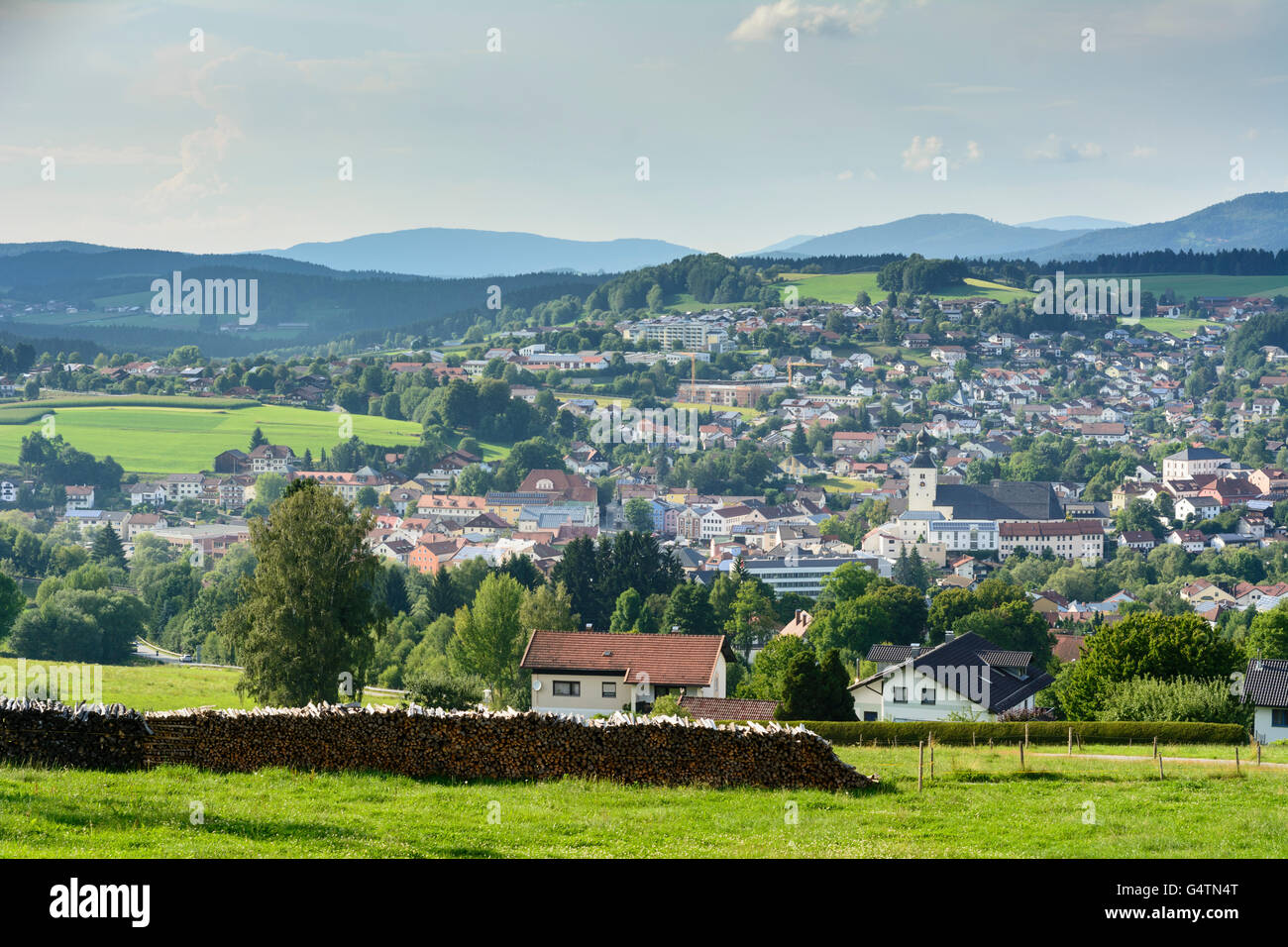Vista di Regen e foresta bavarese, Regen, in Germania, in Baviera, Baviera, Niederbayern, Bassa Baviera Foto Stock